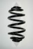SPIDAN 56022 Coil Spring